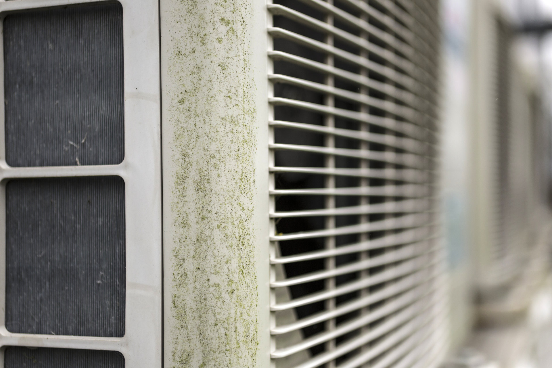How to Clean Aircon Mould in Singapore: A Guide to Safe Removal and Prevention